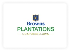 Brown Plantation logo